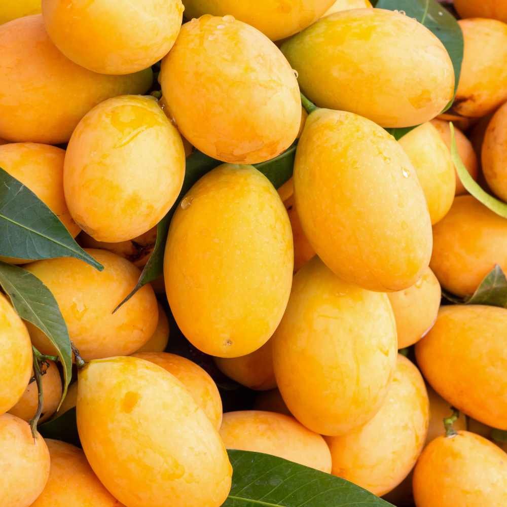 Mangoes